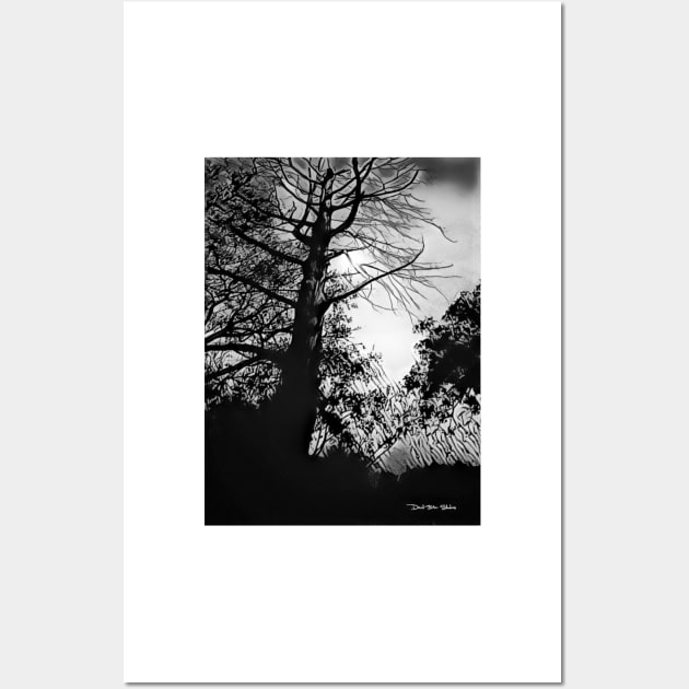 The Trees - Black And White Wall Art by davidbstudios